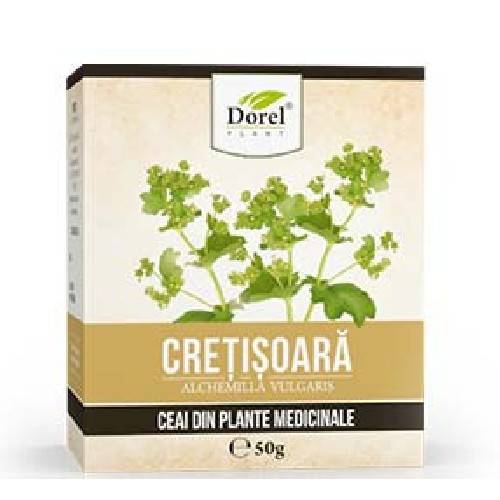 Ceai Cretisoara - 50g - Dorel Plant