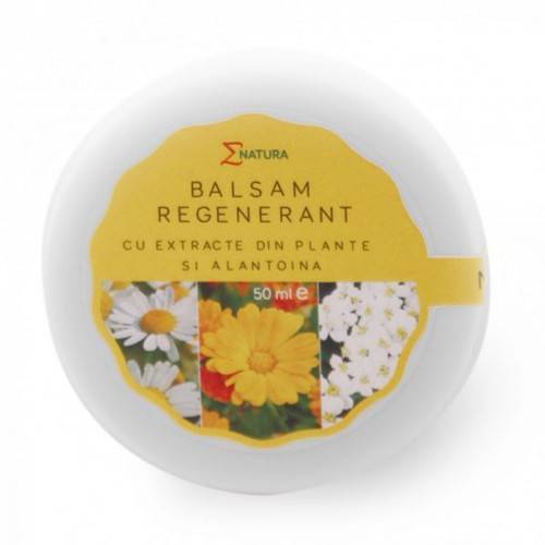 Balsam Regenerant - 50ml - Enatura
