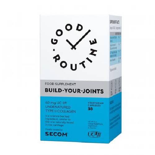 Build-Your-Joints 30cps - Secom