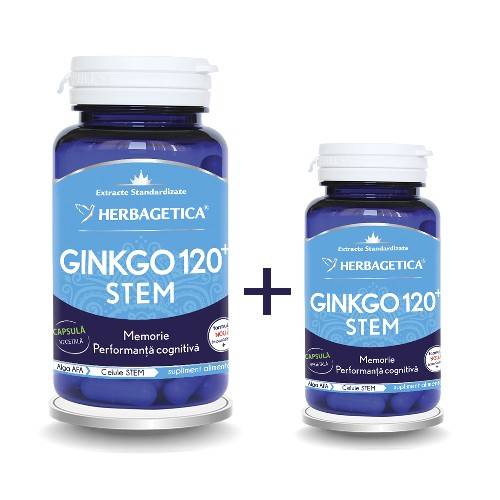 Pachet Ginkgo 120 Stem 60+10cps Herbagetica
