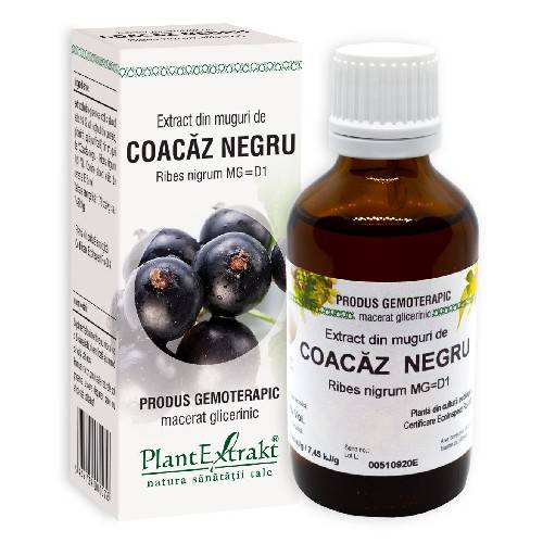 Extract Coacaz Negru - 50ml - Plantextrakt