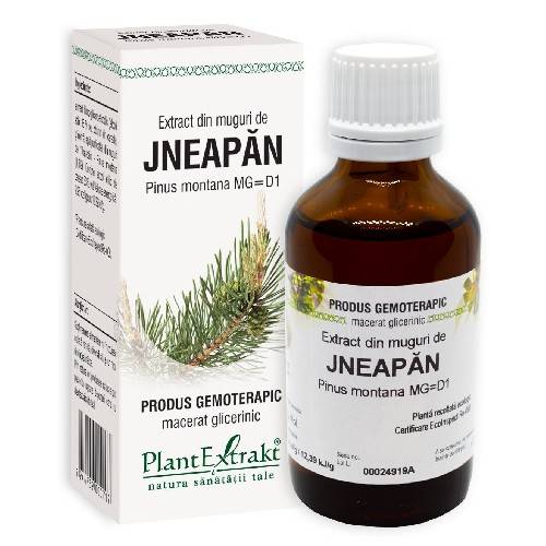 Extract Jneapan - 50ml - Plantextrakt