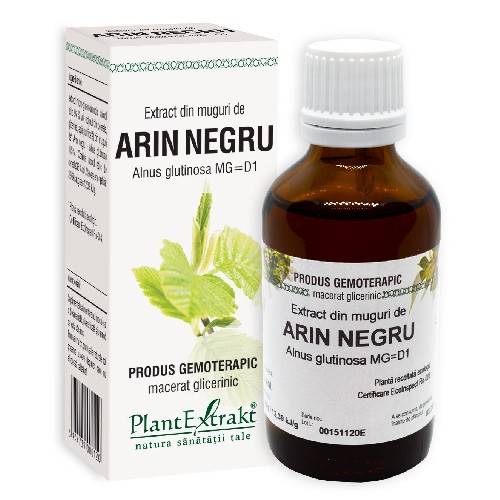Extract Muguri Arin Negru - 50ml - Plantextrakt